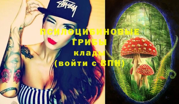 мдпв Балахна