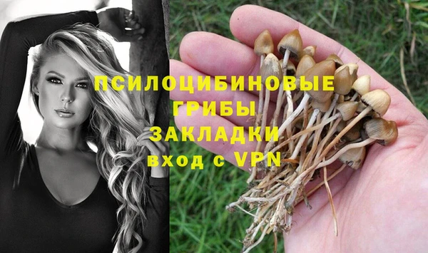 кокс Баксан