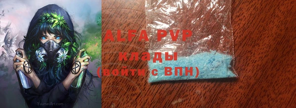 амф Пестово