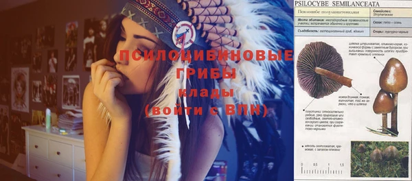 кокс Баксан