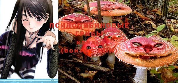 мдпв Балахна